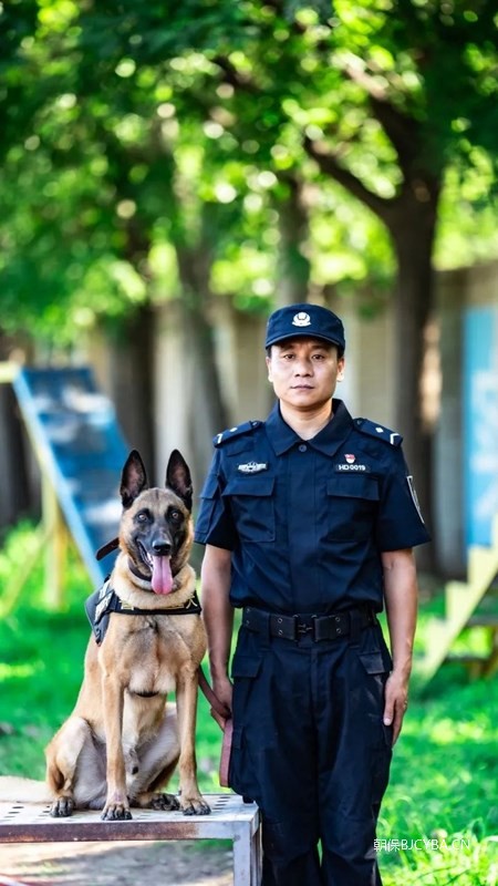 喜报！全国 一等奖！公司黄刚刚携犬参加第六届全国警犬技术比赛荣获追踪科目个人一等奖